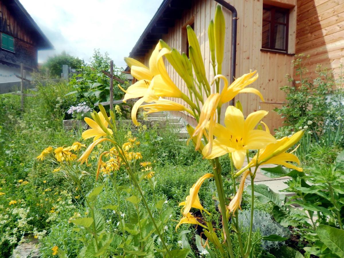 Berggasthof Sonne Allgaeu Зонтхофен Екстериор снимка