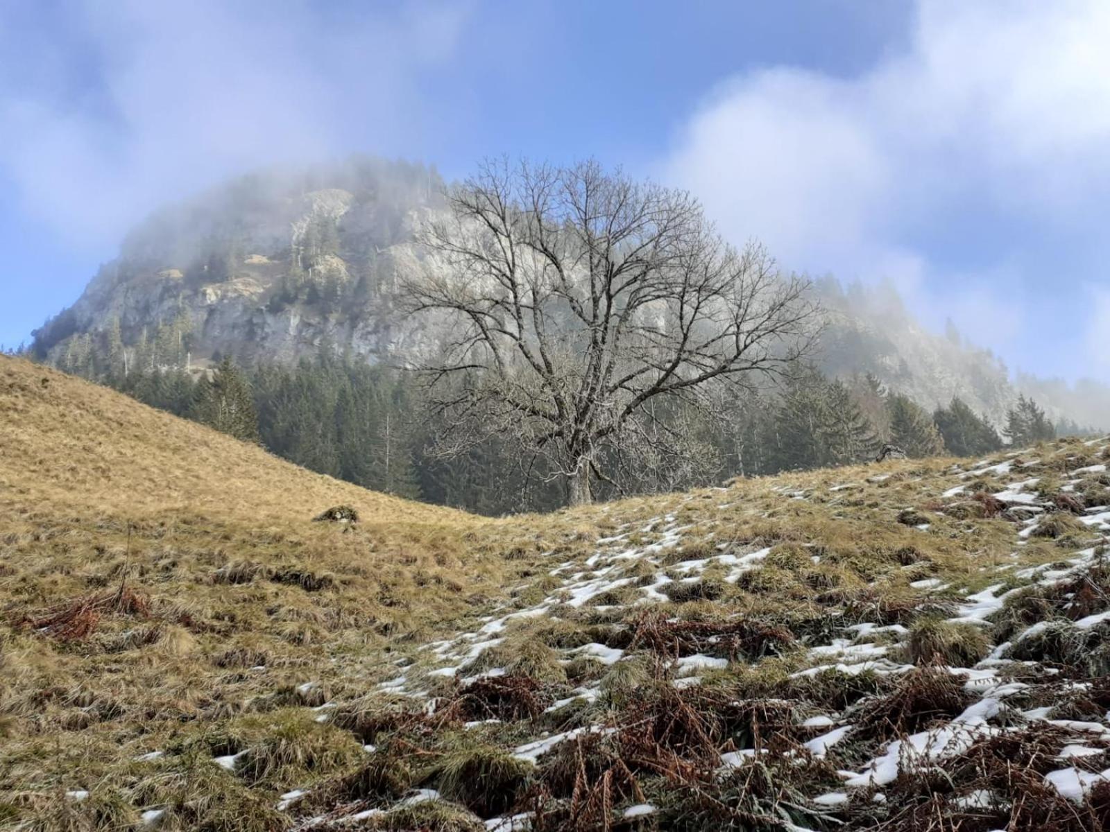 Berggasthof Sonne Allgaeu Зонтхофен Екстериор снимка